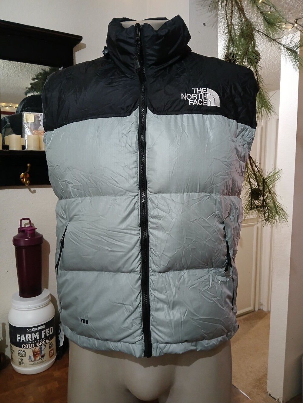 North Face Vest